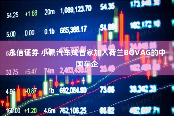 永信证券 小鹏汽车成首家加入荷兰BOVAG的中国车企