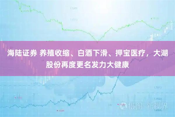 海陆证券 养殖收缩、白酒下滑、押宝医疗，大湖股份再度更名发力大健康