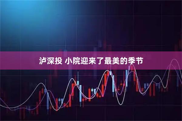 泸深投 小院迎来了最美的季节